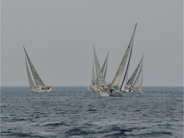Istarska regata 2011